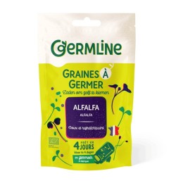 Graines à germer alfalfa...